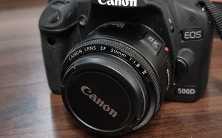Canon 500D + Canon EF 50mm f/1.8 Sc:1177