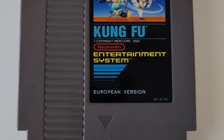 Nes: Kung Fu